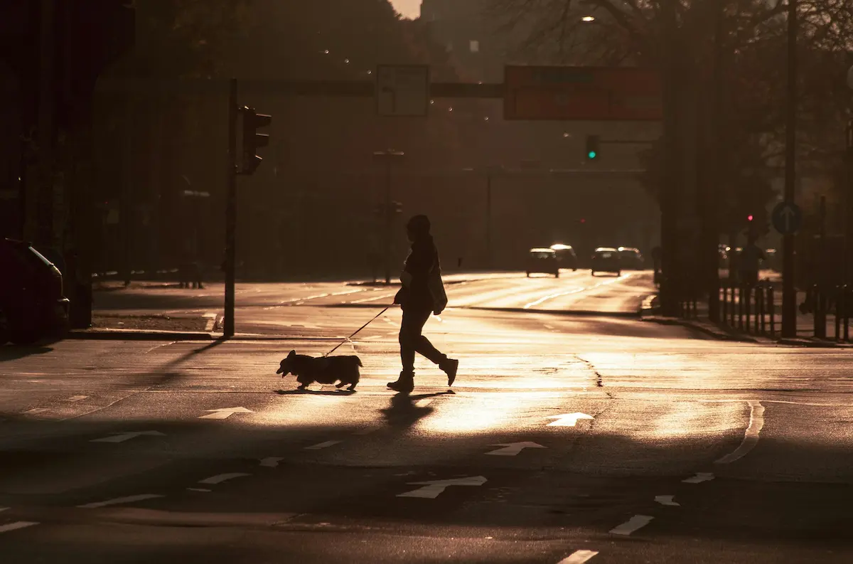 Craft of travel writing shown in a quiet street moment at sunset